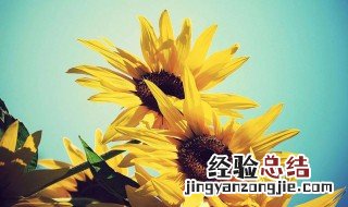 一句话自我评价经典名人 一句话自我评价经典