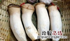 鲍鱼菇的功效与作用及食用方法 鲍鱼菇的营养价值