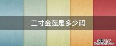 三寸金莲是多少码鞋子 三寸金莲是多少码
