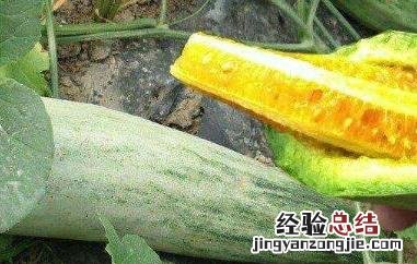 吃羊角蜜为啥拉肚子 为什么吃羊角蜜拉肚子