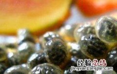 木瓜籽怎么吃好 木瓜籽怎么吃