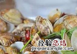 花贝的功效与作用及禁忌 花贝的功效与作用
