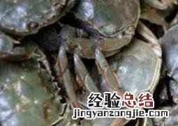 河蟹的功效与作用 河蟹的功效与作用及营养
