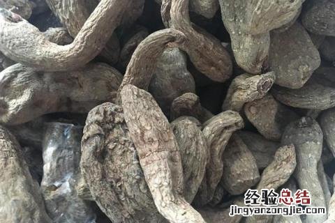 天麻有几种品种 天麻有几种品种怎么区别