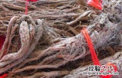 丹参的功效与副作用及用量多少克 丹参的功效与副作用
