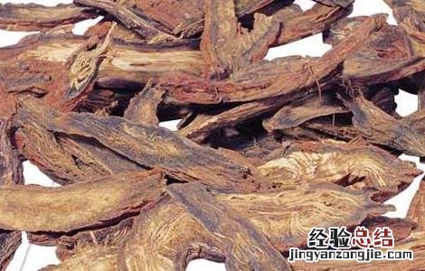 丹参能泡酒吗 丹参能泡酒吗?有什么好处