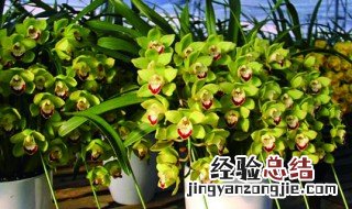 资金拨付是什么意思 拨付是什么意思