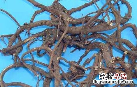 柴胡桂枝汤的功效与作用