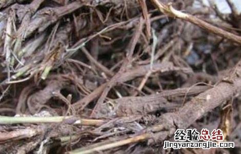 柴胡桂枝汤的功效与作用