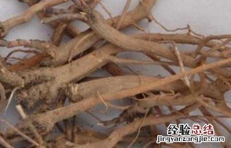 柴胡桂枝汤的功效与作用