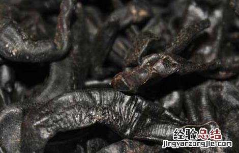 水蛭的药用价值 水蛭的药用价值和功效