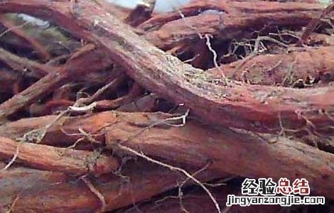 丹参的功效与作用适合哪些人 丹参的功效与作用