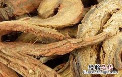 丹参的功效与作用适合哪些人 丹参的功效与作用
