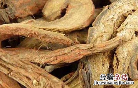 丹参的功效与作用适合哪些人 丹参的功效与作用