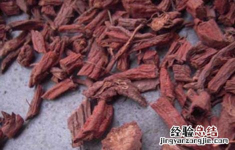 丹参泡水喝的功效与作用禁忌 丹参泡水喝的功效
