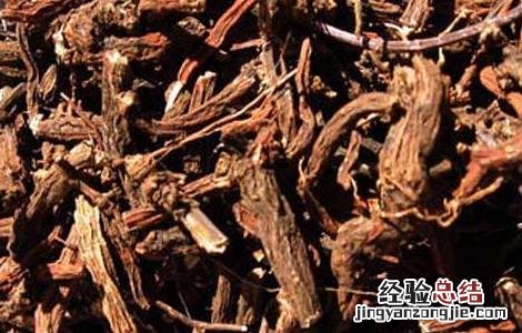 丹参泡水喝的功效与作用禁忌 丹参泡水喝的功效