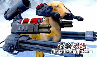 动物混合模拟器怎么下载链接 动物混合模拟器下载方法