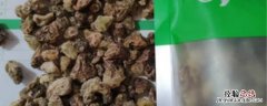 毛慈菇种子能培育种苗吗 毛慈菇种子能繁殖能出来苗吗