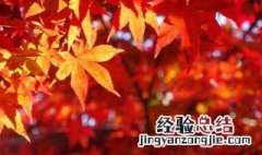 秋天用英语怎么读 秋天的英语是什么