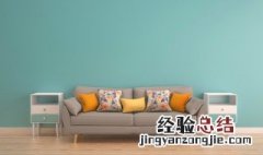 沙发发黑霉怎么办 沙发发黑霉的方法