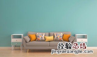 沙发发黑霉怎么办 沙发发黑霉的方法