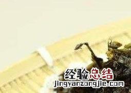 紫菜作用和功效 紫菜有什么功效与作用
