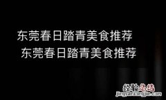 东莞春日踏青美食推荐 东莞春日踏青美食推荐语