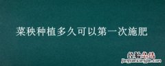 刚种的菜苗多久可以施肥 菜秧种植多久可以第一次施肥