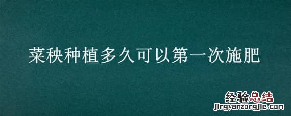 刚种的菜苗多久可以施肥 菜秧种植多久可以第一次施肥