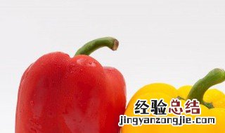 五彩柿子椒食谱的做法大全 五彩柿子椒怎么做好吃
