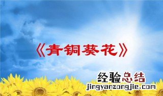 青铜葵花每章节主要内容介绍 青铜葵花1章节梗概
