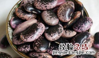 肾豆的功效与作用及禁忌 肾豆的功效与作用