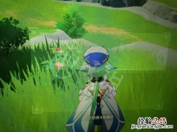 原神蒙德特产在哪 原神蒙德土特产