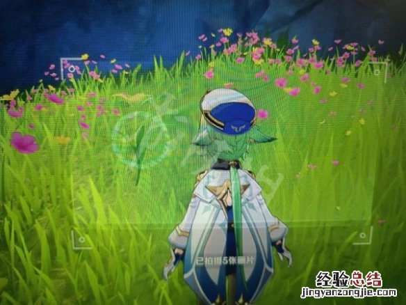 原神蒙德特产在哪 原神蒙德土特产