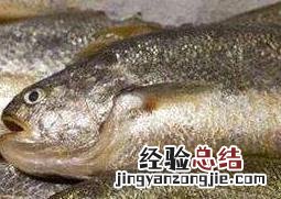 大黄鱼与小黄鱼的区别是什么 大黄鱼与小黄鱼的区别