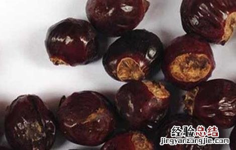 荔枝核的功效与作用点 荔枝核的功效与作用