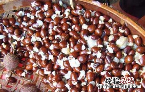 荔枝核的功效与作用点 荔枝核的功效与作用