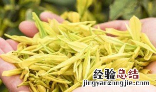 黄金芽和黄金叶的区别 黄金芽和黄金叶是两回事儿吗