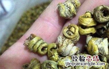 耳环石斛怎么泡水喝 耳环石斛怎么泡水喝的