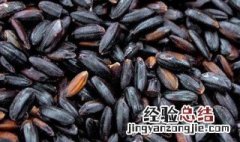 云南紫米的营养价值 紫米的营养价值