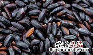 云南紫米的营养价值 紫米的营养价值