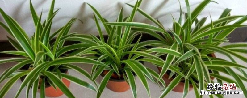 自制滴灌简易方法视频 自制滴灌简易方法
