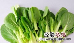 鸡毛菜的营养价值 鸡毛菜的营养成分