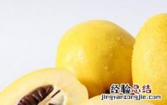 酸木瓜三七泡酒的功效与作用 酸木瓜和三七泡酒的功效