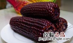 紫玉米的营养价值与功效 紫玉米的营养价值