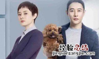 安家剧情介绍 想了解的快到这里来看呢