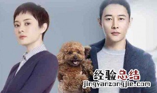 安家哪个台播出 有这部剧的简单介绍说明吗