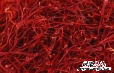 藏红花的功效与作用 藏红花的功效与作用的功能与主治