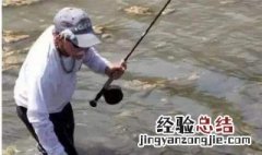 泰拉瑞亚猪龙鱼在哪钓 泰拉瑞亚猪龙鱼在哪钓视频