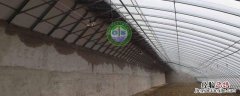 温室大棚土墙如何建造 怎么建设温室大棚墙体